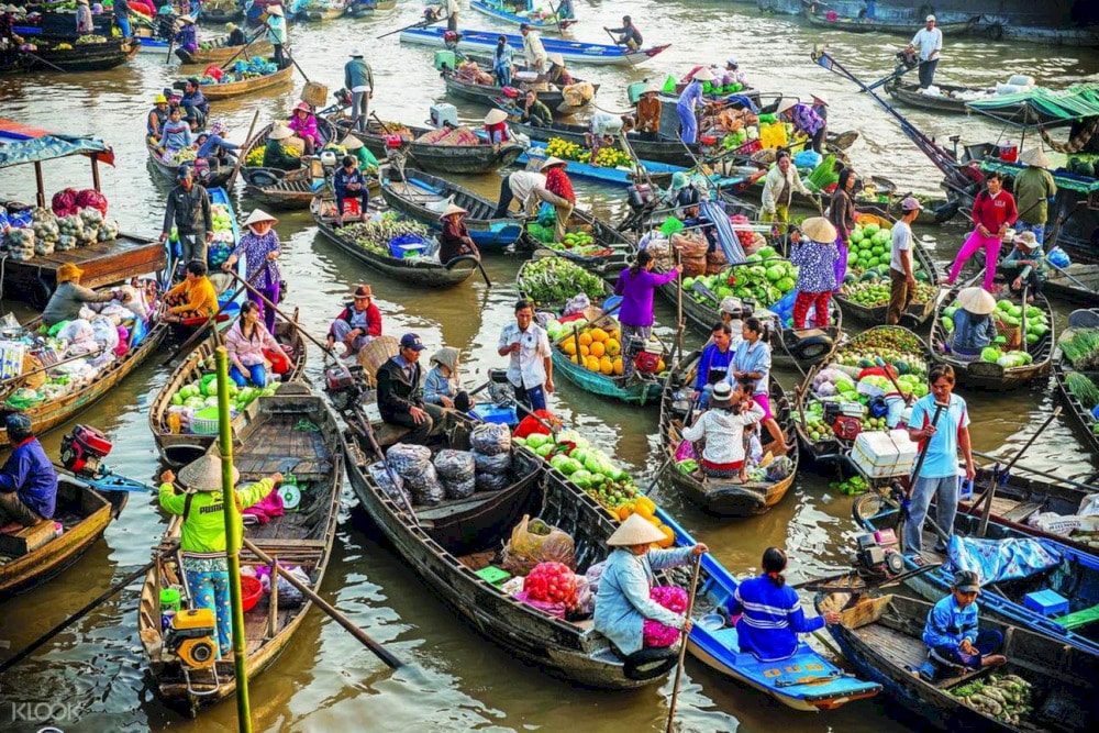 the mekong delta